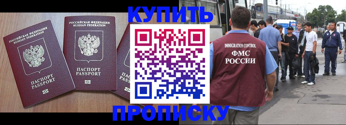 прописка 2025 в Заринске